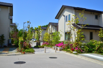 植栽の施工事例画像