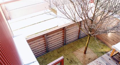 森の中にいるようなお庭